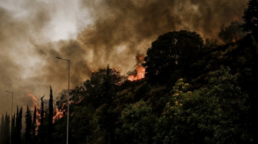 Απανθρακωμένος βρέθηκε ο αγνοούμενος 45χρονος κτηνοτρόφος στις Φέρρες Μαγνησίας