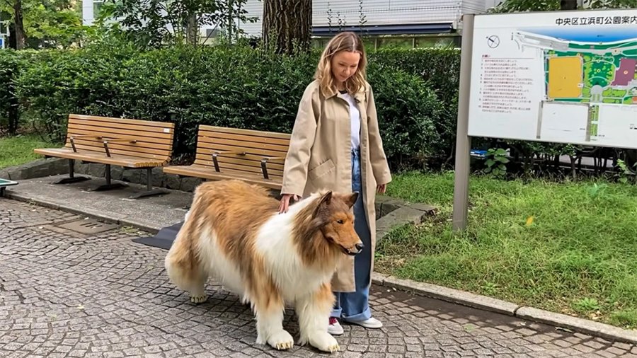 Ιάπωνας που ξόδεψε χιλιάδες ευρώ για να «μεταμορφωθεί» σε σκύλο έκανε την πρώτη του δημόσια εμφάνιση [βίντεο]