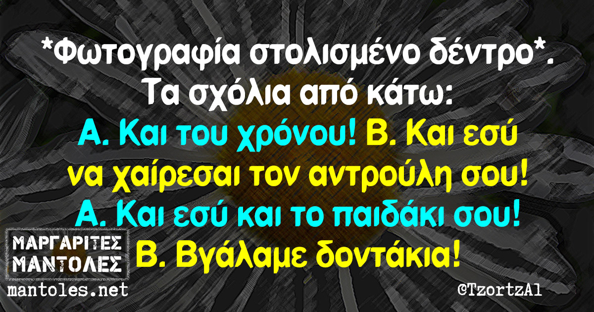 *Φωτογραφία στολισμένο δέντρο*. Τα σχόλια από κάτω: Α. Και του χρόνου! Β. Και εσύ να χαίρεσαι τον αντρούλη σου! Α. Και εσύ το παιδάκι σου! Β. Βγάλαμε δοντάκια!