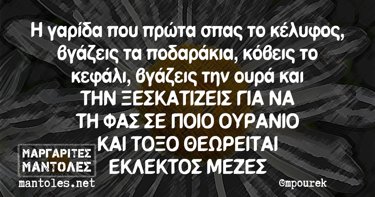 Η γαρίδα που πρώτα σπας το κέλυφος, βγάζεις τα ποδαράκια, κόβεις το κεφάλι, βγάζεις την ουρά και ΤΗΝ ΞΕΣΚΑΤΙΖΕΙΣ ΓΙΑ ΝΑ ΤΗ ΦΑΣ ΣΕ ΠΟΙΟ ΟΥΡΑΝΙΟ ΚΑΙ ΤΟΞΟ ΘΕΩΡΕΙΤΑΙ ΕΚΛΕΚΤΟΣ ΜΕΖΕΣ